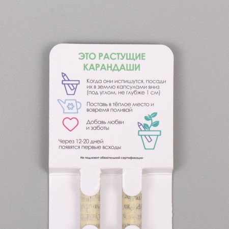 Growing gift pencils Mini "Mint + Paprika" set 2 pcs.-2