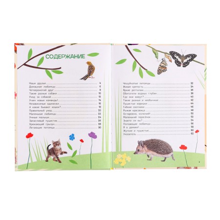 Encyclopedia for the first reading "Pets", large letters-1