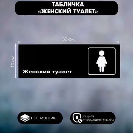 Signs "Women's toilet", matte, 300 × 100 mm
