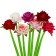 Gel Helm-prick "Rose", mix
