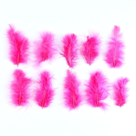 A set of feathers for decor 10 pcs., Size 1 pc. -10 × 2 cm, the color is light pink