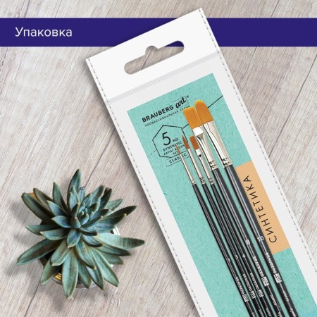 System of Synthetics 5 pieces, Brauberg Art Classic, Round No. 1, 3; flat No. 4, 8; oval No. 10-16