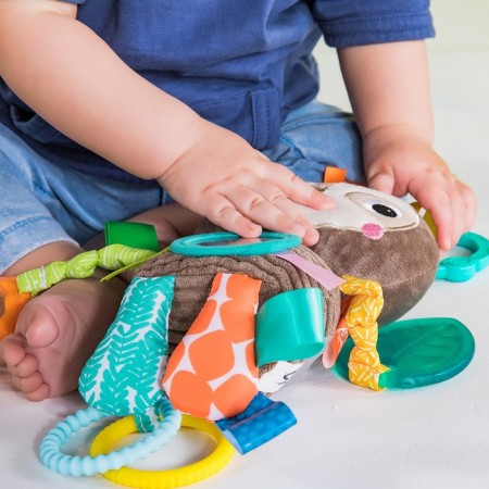Developing toy Bright Starts "Ladight"-3
