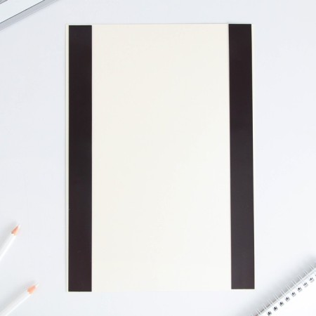 Schedule of the Lessons "Animals in Cosmos" A4, a reusable magnetic with a marker-4
