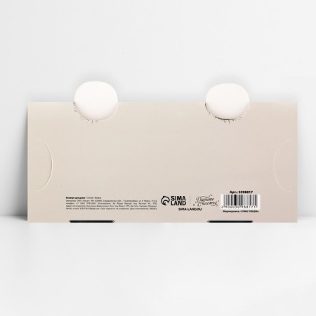 Envelope for Money Formation "Funny Panda", 17.5 x 9 cm-5