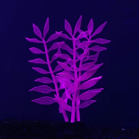 Silicone Aquarium plant, glowing in the dark, 8 x 15 cm, purple-1