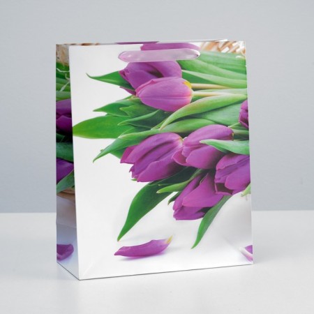 Laminated package, 26 x 32 x 12 cm