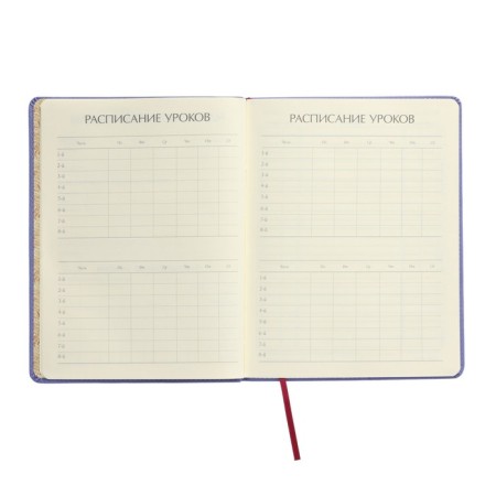 Universal diary for grades 1-11, 48 sheets, My Sweet. Donuts, covering artificial leather, lies, tinted block-5