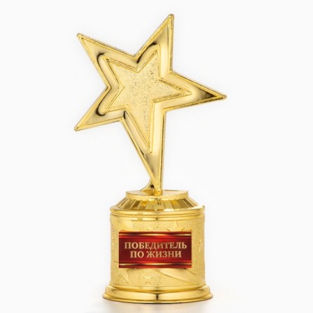 Cup Award Figure: Star of a cast “winner in life” gold, plastic, 16.5 x 6.3 cm.-1
