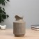 VAZA Ceramics desktop "Maris" Classic, 20x11 cm, gray
