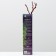 Grape seedling is long -awaited, spring 2024, 1 pc.