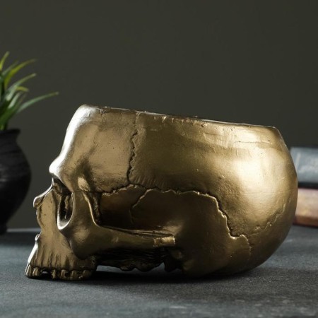 Kashpo - Organizer "Skull" Bronze, 0.2 l/19x14x12cm-3