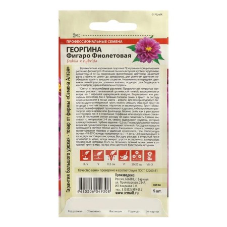 Georgin flower seeds "Figaro", purple, terry, seed. Alt, c/n, 5 pcs-1