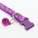 Two -layer collar with Fasteks "Music", 30 x 1 cm, purple