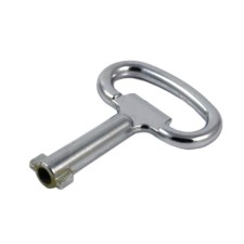 The key 