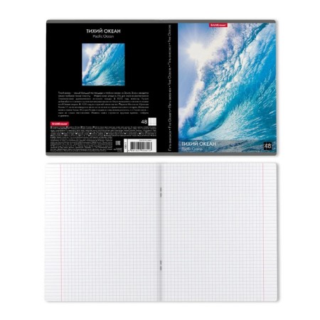 Notebook of 48 sheets in the Erichkrause Ceal Five Oceans, cover coated cardboard, offset block, whiteness 100%, mix-6