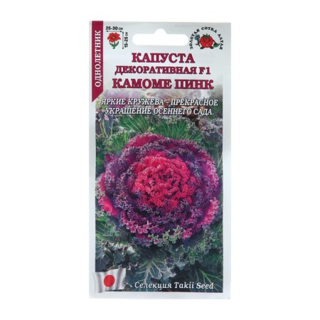 Flowers Cabbage "Kamoma Pink", 5 pcs