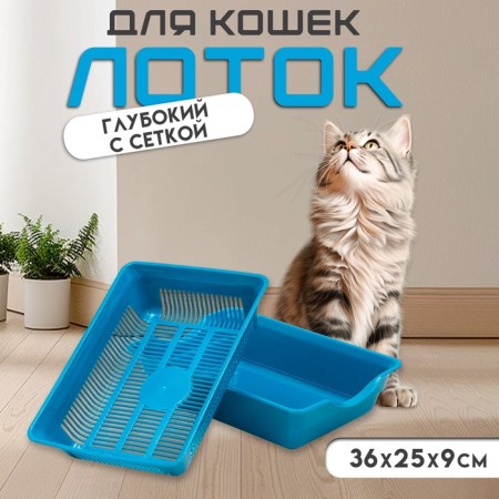 Deep toilet with a mesh of 36 x 25 x 9 cm, blue-1