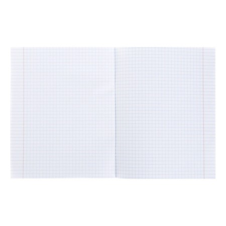 Notebook of 48 sheets in the cage "Back to School", cover cover 60g/m2, fields, mix-2
