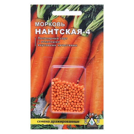 Carrots "Nanta 4", 300 pcs.-2