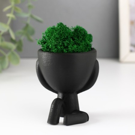 Kashpo concrete mini "Mr. Green" Ivazaru with moss black 5.5x6.5x6.5 cm (moss green stabil.)