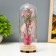 Nightlight "Bear" LED from batteries 3xlr44 mix 7x7x18.5 cm Risalux