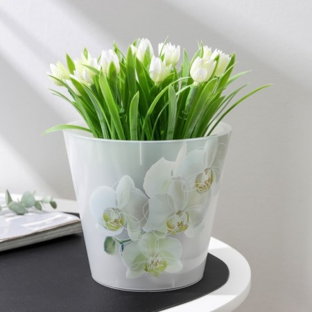 Kashpo for orchids "Fiji", 1.6 l, design mix-6