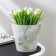 Kashpo for orchids "Fiji", 1.6 l, design mix