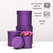 Set of hats 4 in 1 “purple”, 20 × 20 –13 × 13 cm