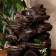 Adisson Fountain, 10x14x26 cm (with backlight)