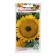 Sunflower seeds "Cossack", 10 g