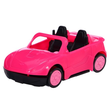 Set with a pet "animals. Automobile"-7