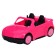 Set with a pet "animals. Automobile"