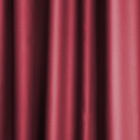 Set of curtains "Blackwood", size 2x140x270 cm, burgundy color-2