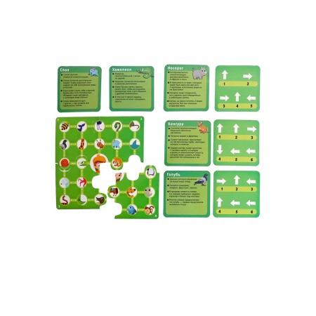 Developing game “Go through the shooters. We study animals ", 24 cards, 3+-3