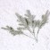 Decor "Victor ate with snow", set of 4 pcs., Size 1 pc. - 17 cm