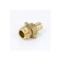 Adapter Aquasfera 9104-06, d = 40 mm x 1 1/2 ", detachable, outer thread, brass