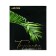 The convert folder on the A6, 140 x 170 mm button, 180 microns, vertical, Devente tropicana, foil embossing, mix x 4 colors, cardboard box