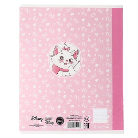 Notebook in the line of 18 sheets, 5 types of mix, cover coated cardboard, cats aristocrats-8