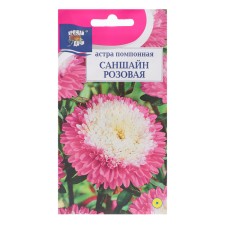 Flower seeds Astra Pomopone 