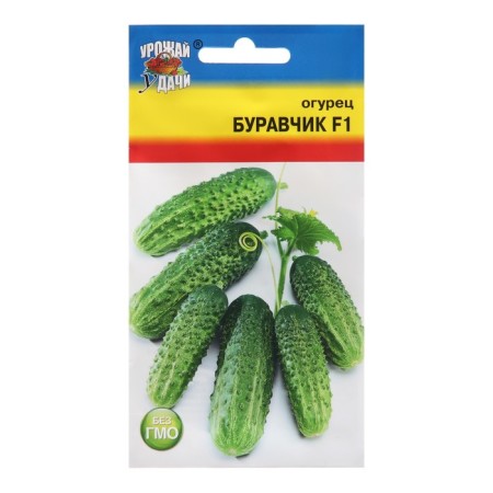Seeds Cucumber "Bukeshchik", F1