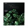 A4, 75 mm, Devente tropicana, laminated cardboard, black/green, collapsible.