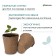 Peat pot, 100 ml, 6 × 6 cm, Greengo