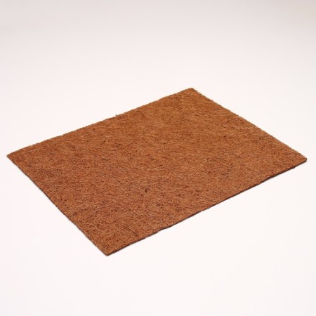 Coconut fiber rug, 40 x 30 cm-2