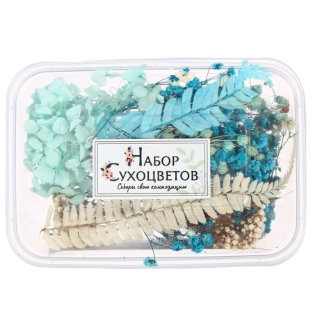 Set for creativity "Set of dry flowers" large, blue-3