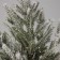 Artificial Christmas tree “Winter magic. Snowy "in the bucket 30x7.5 cm