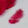 Pen decorative goose downy "Bordeaux" set 40 pcs h = 10-15 cm