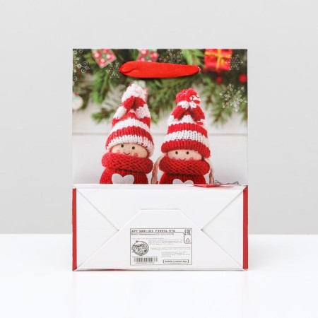Laminated package "Sani with a gift", 11.5 x 14.5 x 6 cm-1