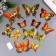 Magnet plastic "Butterfly double wings - gold shine" nr 12 pcs h = 5; 6; 7; 8; 9.5 cm