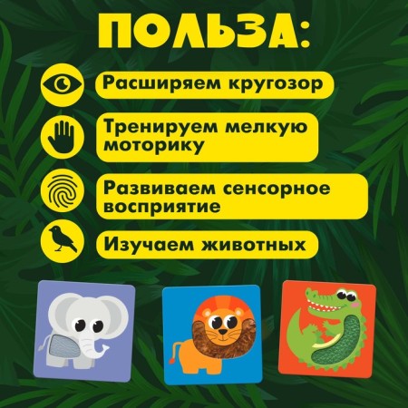 Developing Africa Animals, Tactile Cards-1